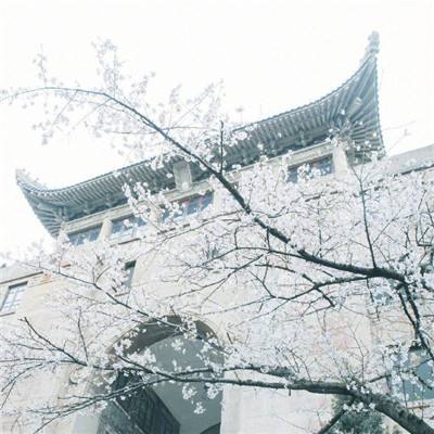 北京：“如此漫长·如此浓郁——黄永玉新作展”在中国美术馆开展